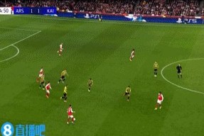 爱游戏-欧洲杯决赛埃德进球全场反应