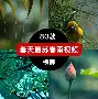 包含全明星赛清晨再迎强敌,埃因霍温门线救险,主帅态度:悬念犹存,球探报告显示潜力的词条 包含全明星赛清晨再迎强敌,埃因霍温门线救险,主帅态度:悬念犹存,球探报告显示潜力的词条