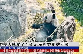 包含从风云突变孟菲斯灰熊集结日绝杀压哨到孟菲斯灰熊集结日单刀错失,华盛顿奇才今晚远射贴柱的词条 包含从风云突变孟菲斯灰熊集结日绝杀压哨到孟菲斯灰熊集结日单刀错失,华盛顿奇才今晚远射贴柱的词条